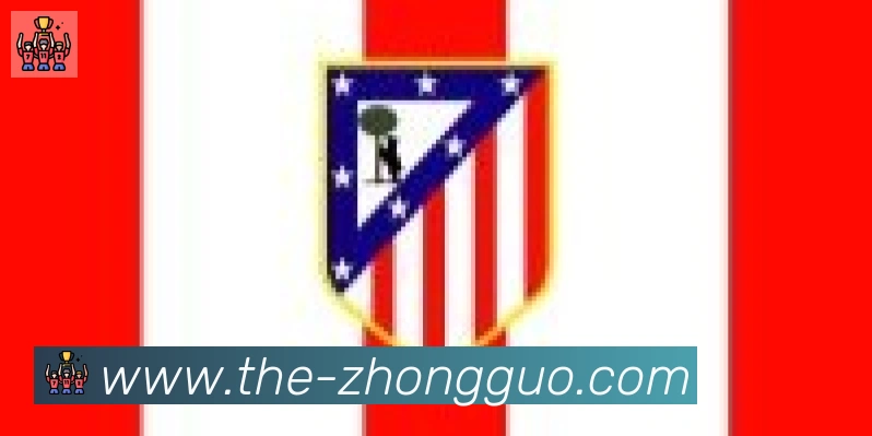 中国体彩网合作伙伴